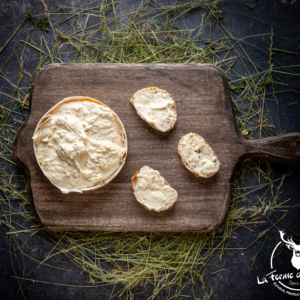 FROMAGE FORT MAISON