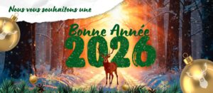 Bonne année 2026