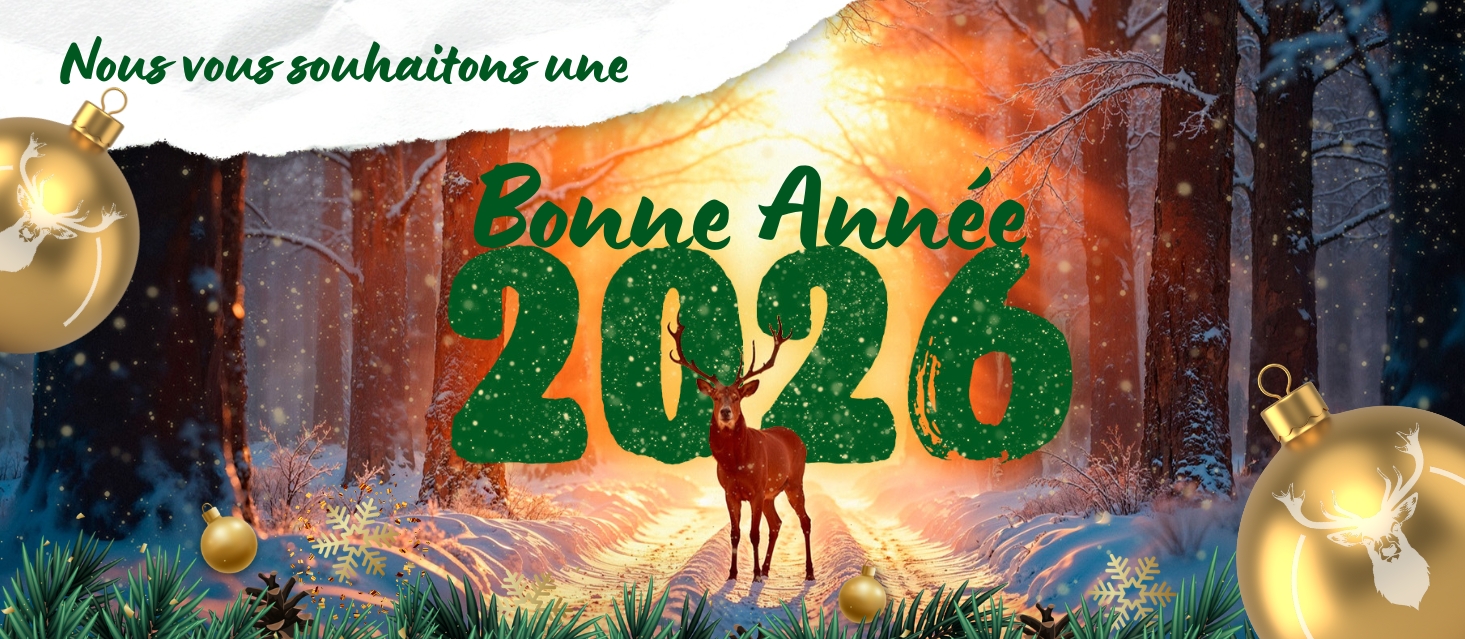 Bonne année 2026